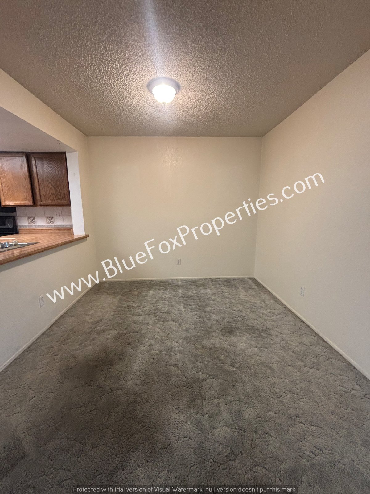 8675 N Lyra Ln property image