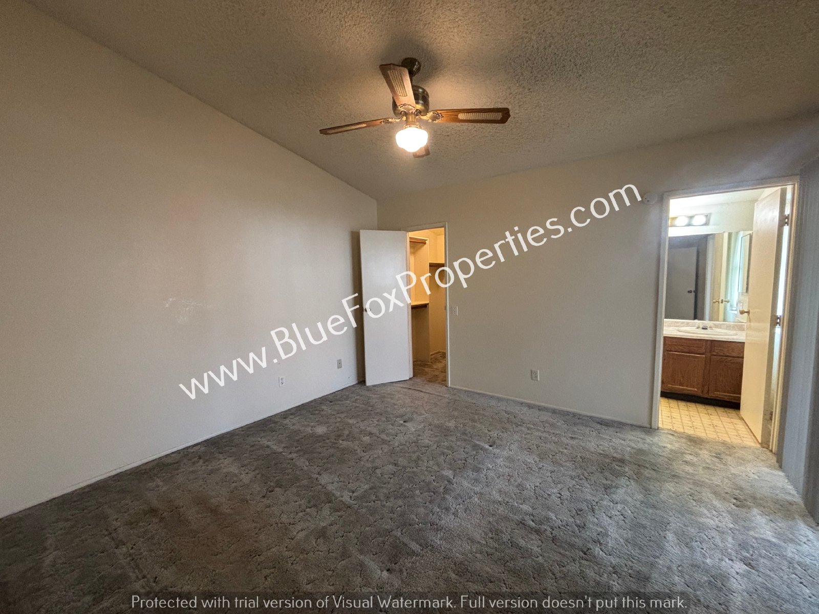 8675 N Lyra Ln property image