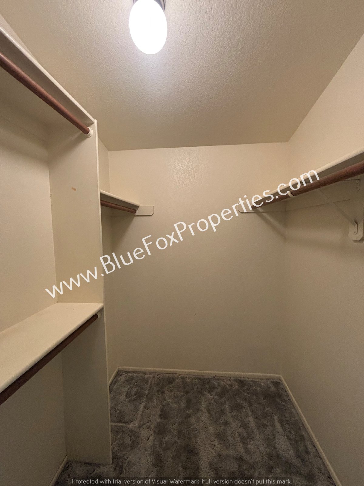 8675 N Lyra Ln property image