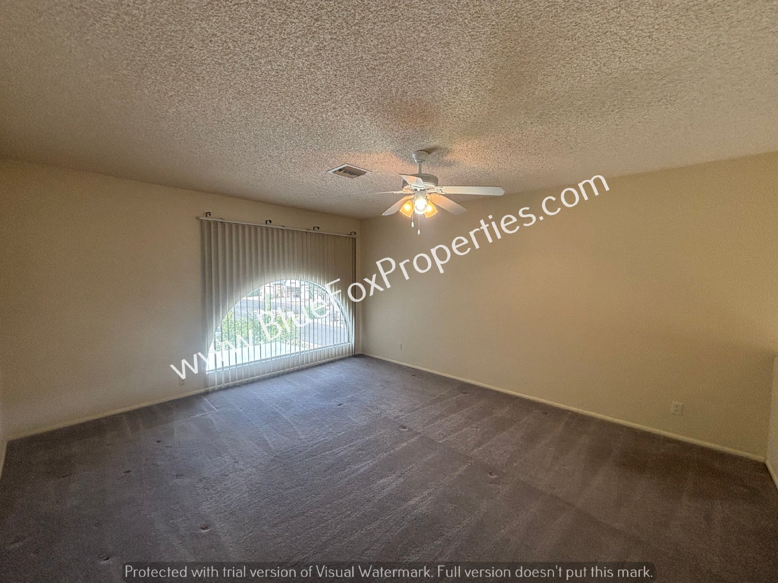 8675 N Lyra Ln property image