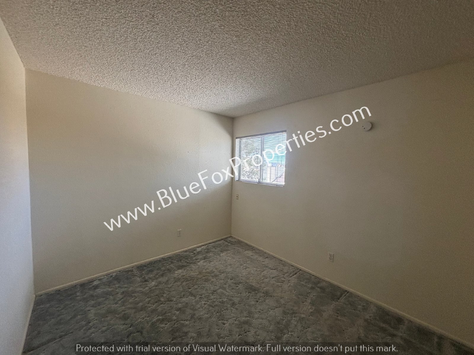 8675 N Lyra Ln property image