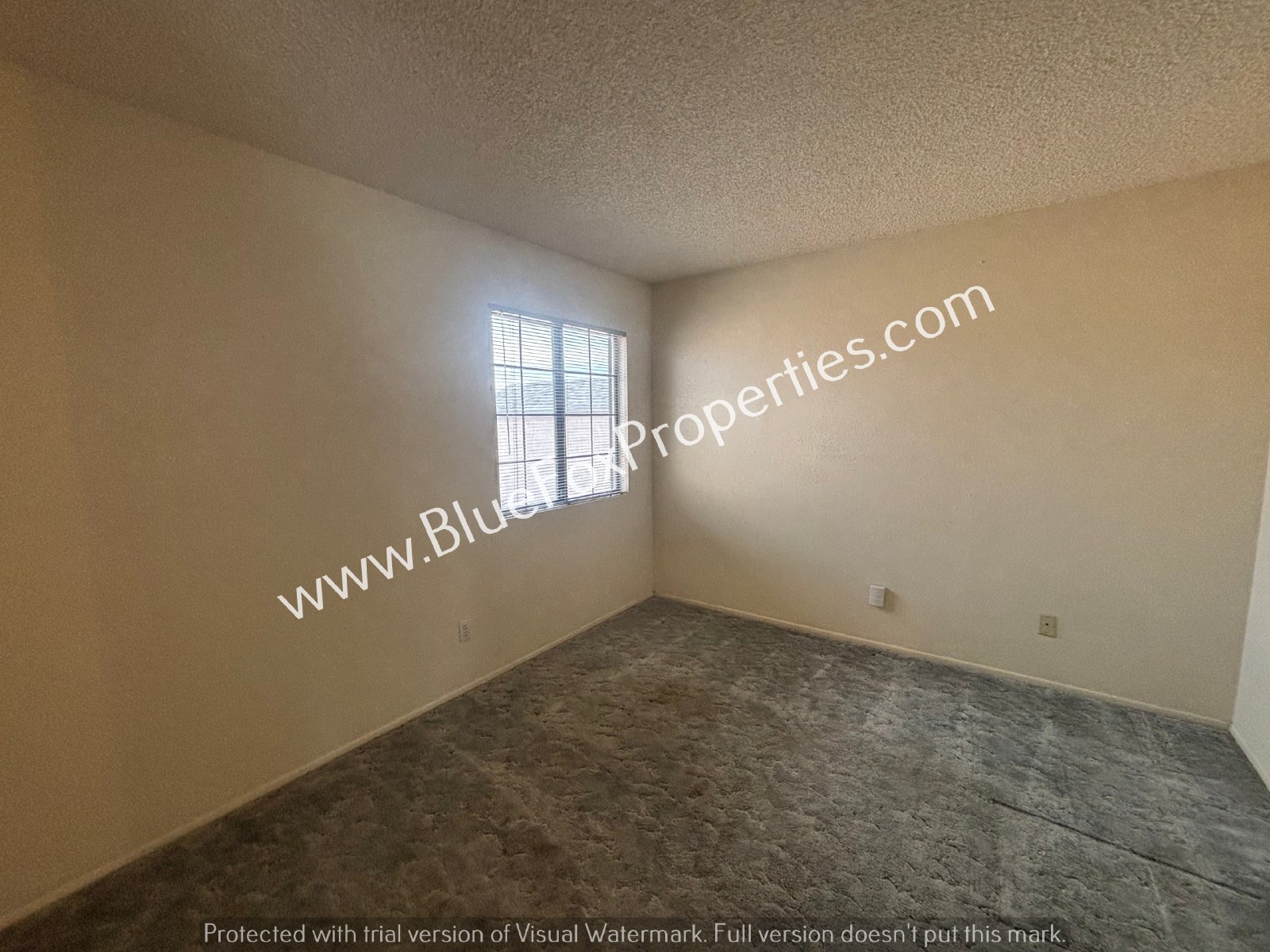 8675 N Lyra Ln property image