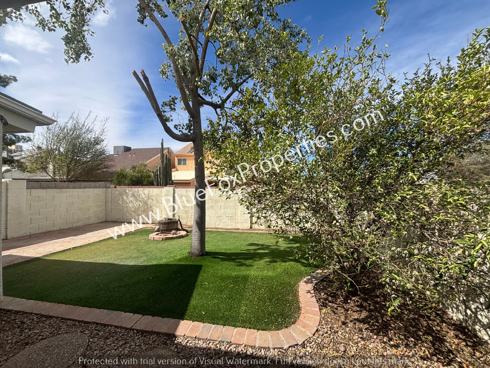 8675 N Lyra Ln property image