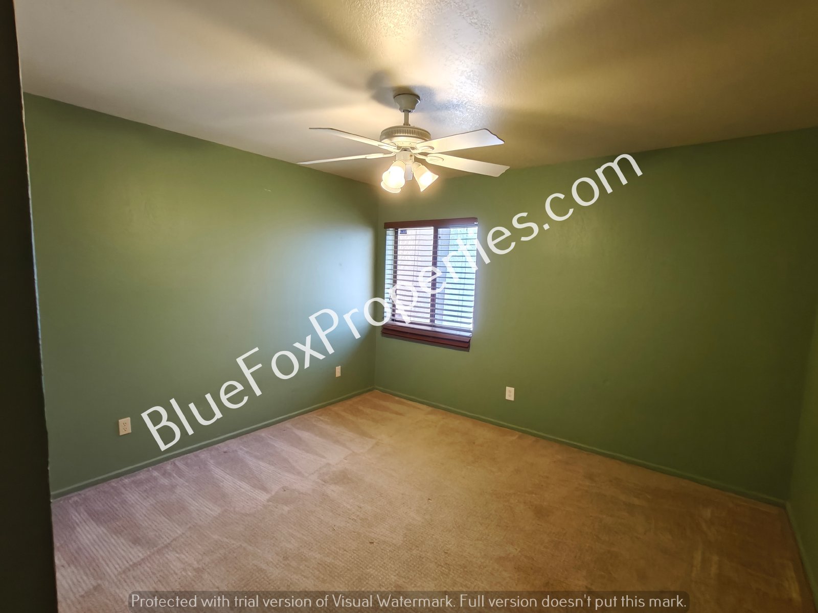 5842 N Placita De Las Lomitas property image