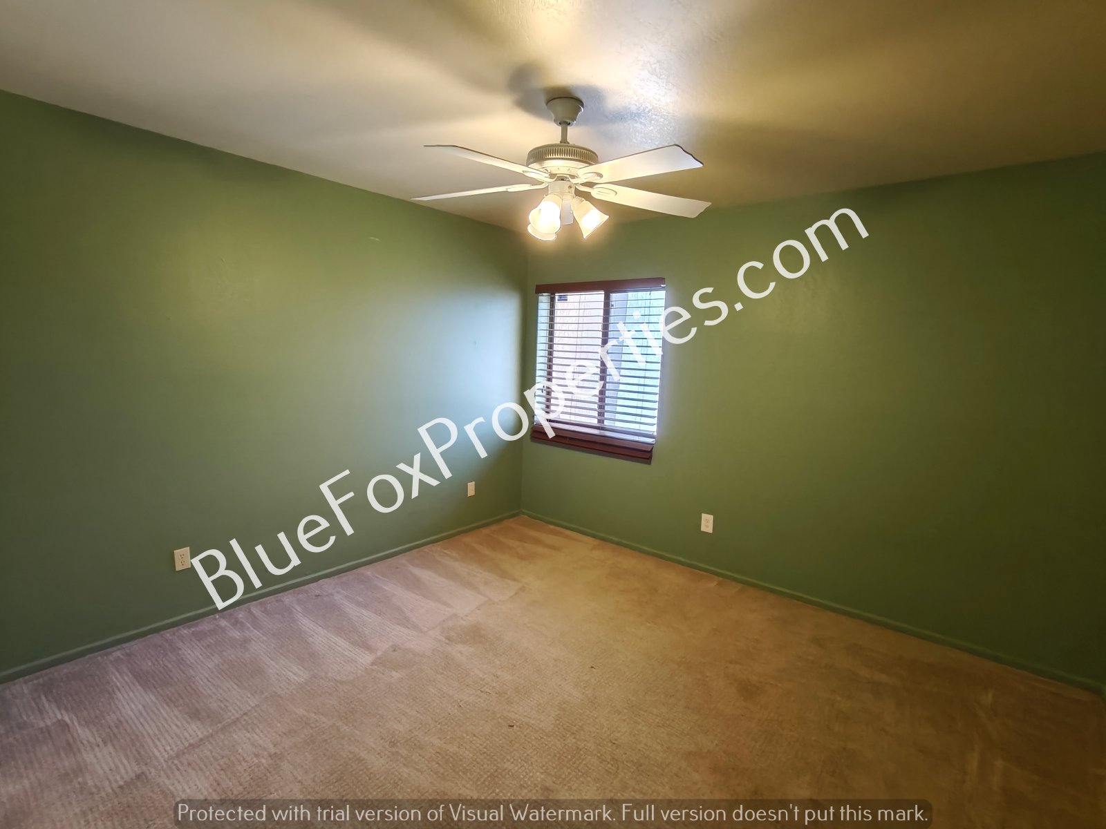 5842 N Placita De Las Lomitas property image