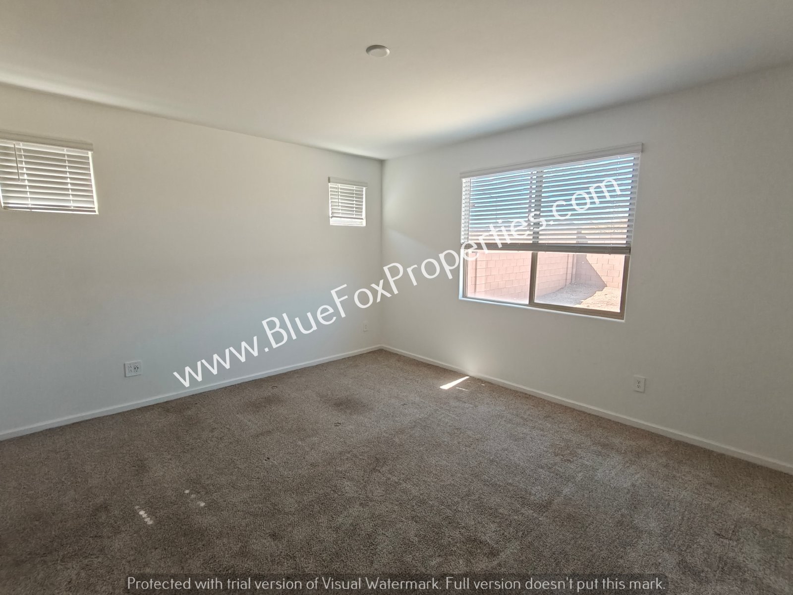 3112 N Dasylirion Dr property image
