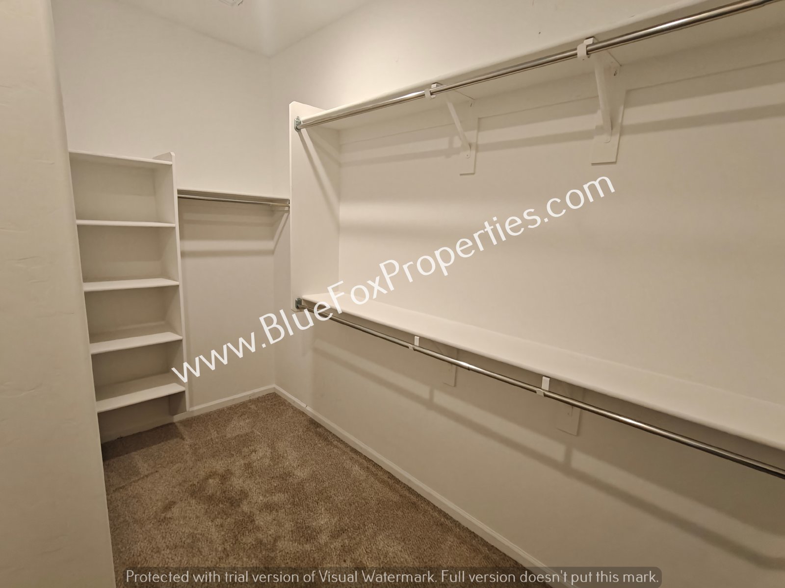 3112 N Dasylirion Dr property image