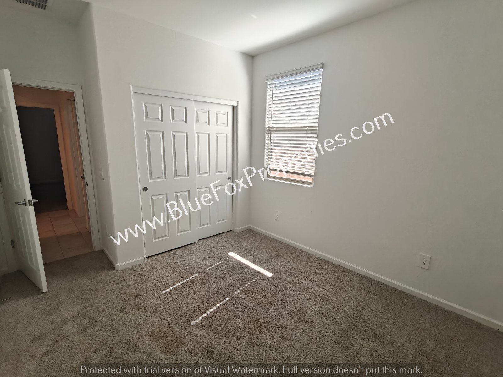 3112 N Dasylirion Dr property image