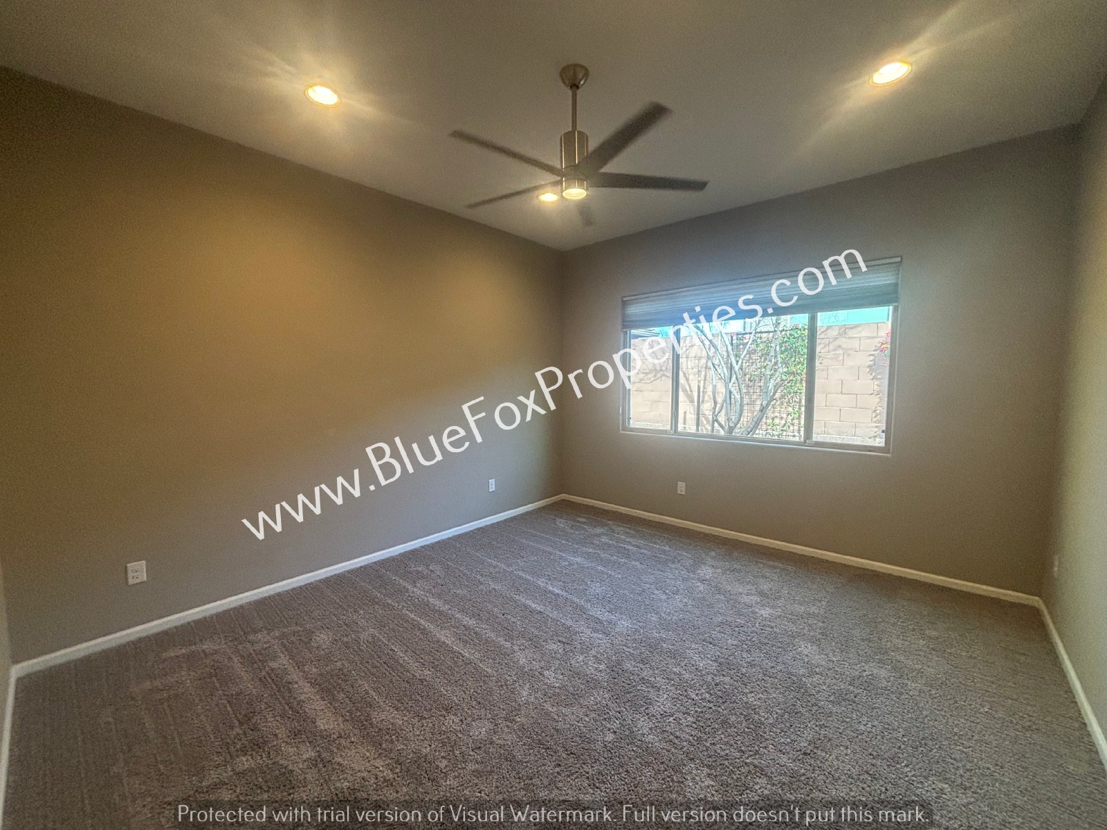 177 E Woolystar Ct property image