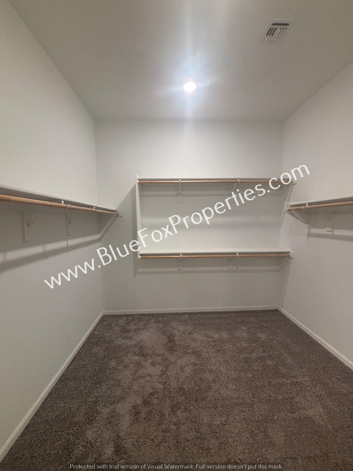 177 E Woolystar Ct property image
