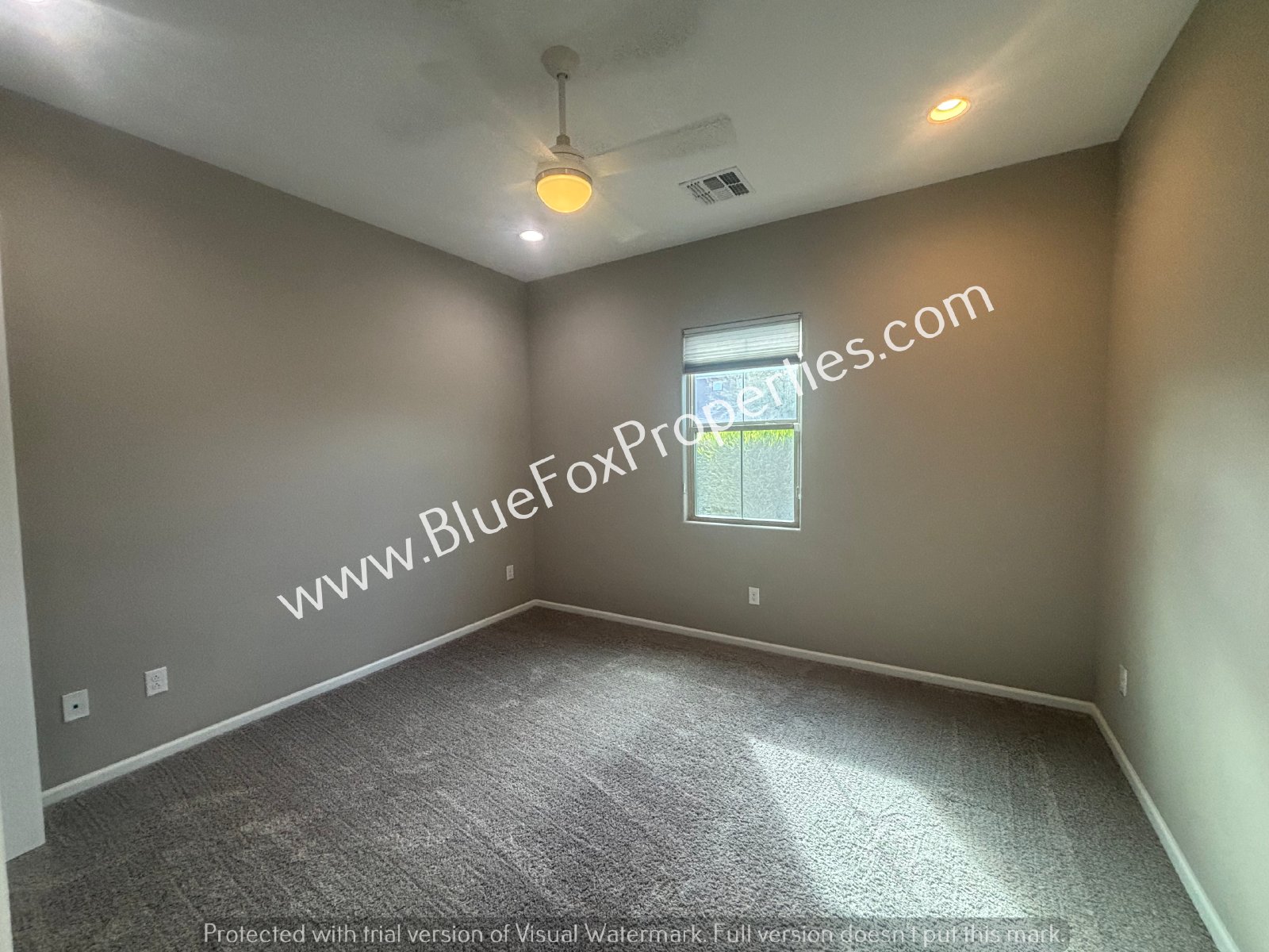 177 E Woolystar Ct property image
