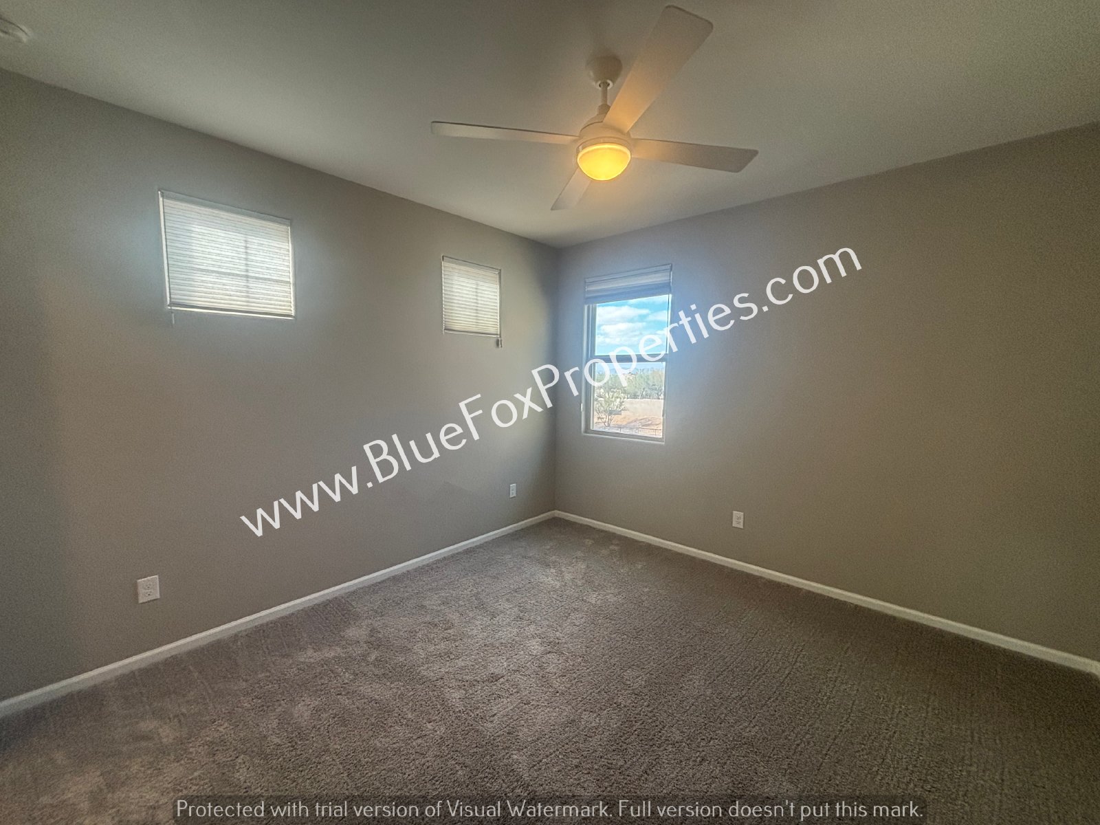177 E Woolystar Ct property image