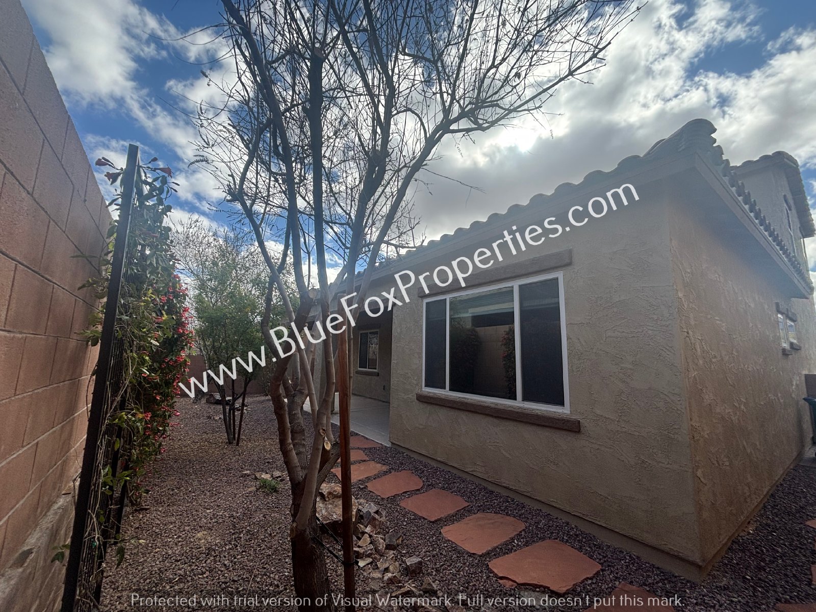 177 E Woolystar Ct property image