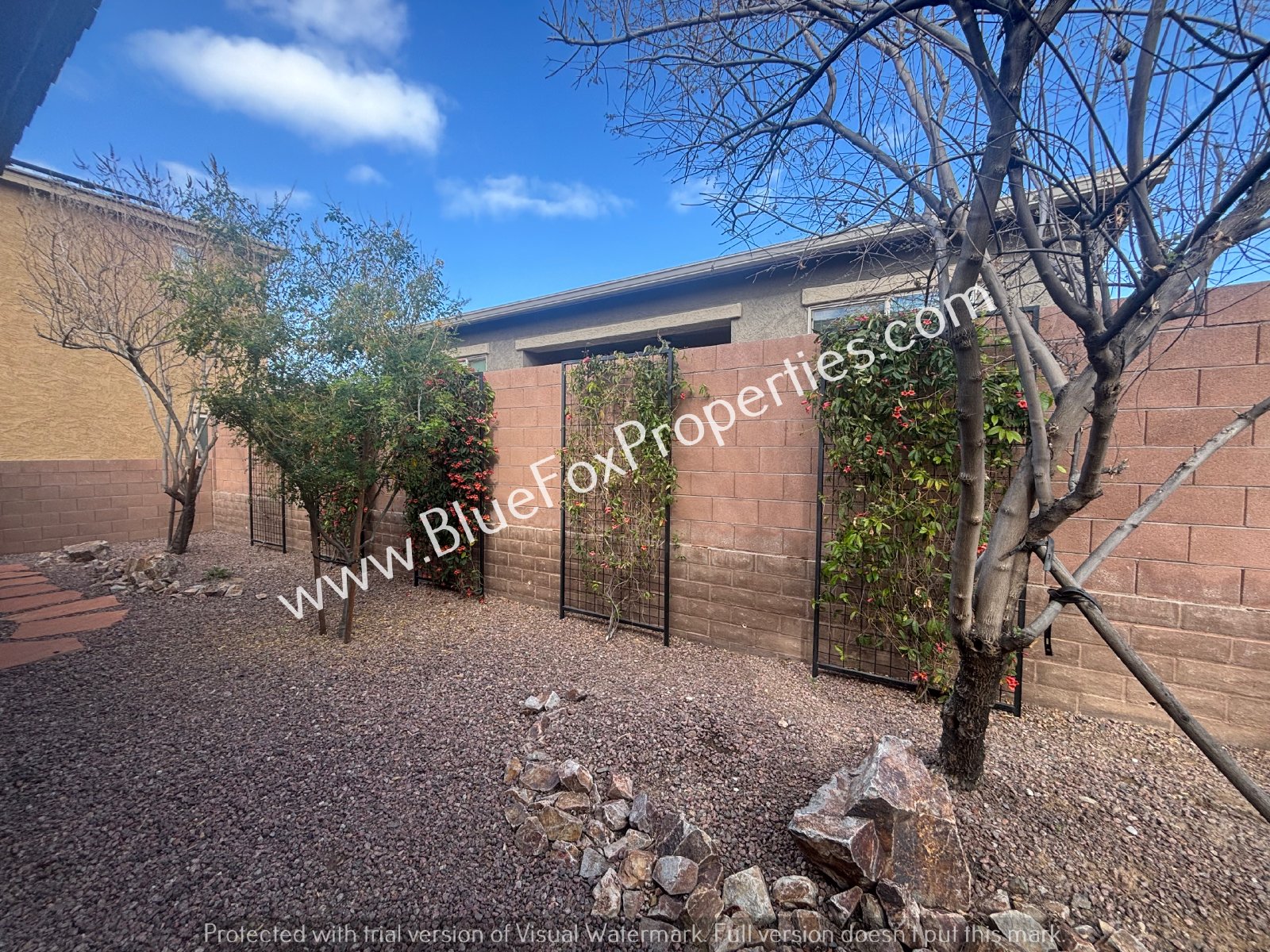 177 E Woolystar Ct property image