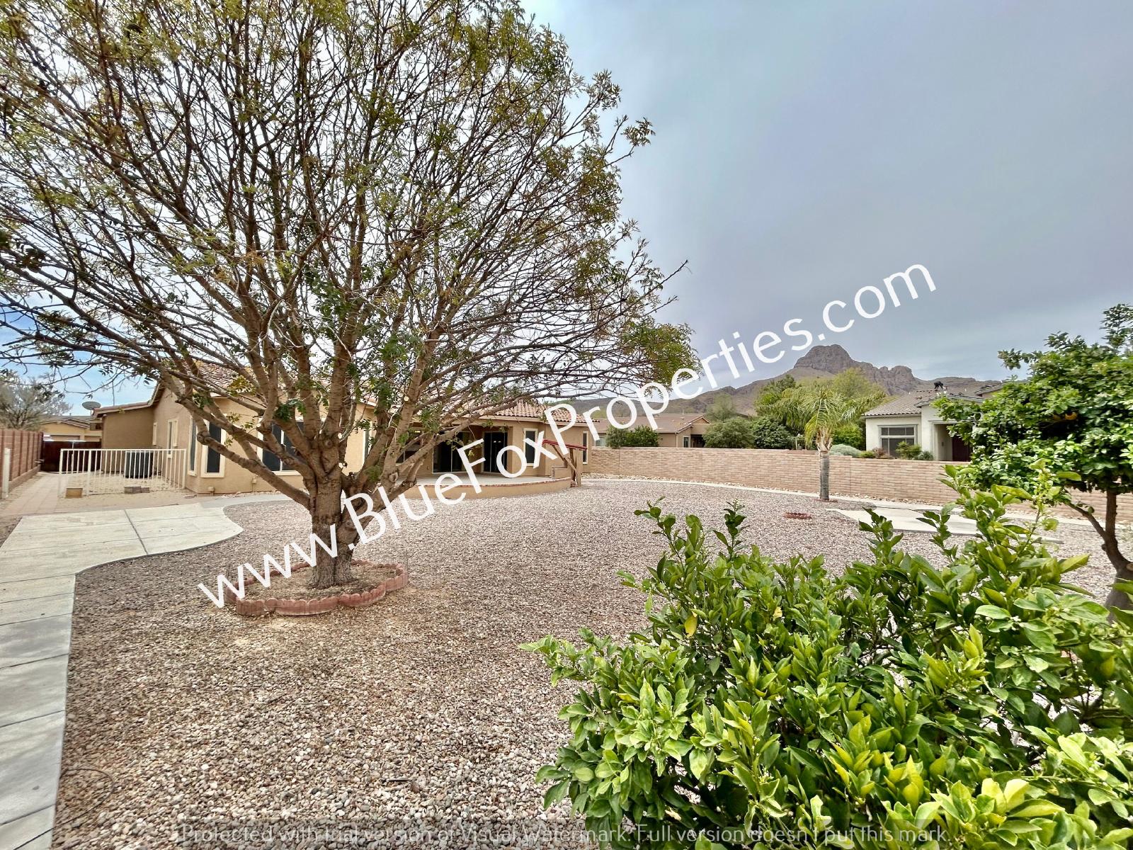 8462 N Ironwood Reserve Way property image