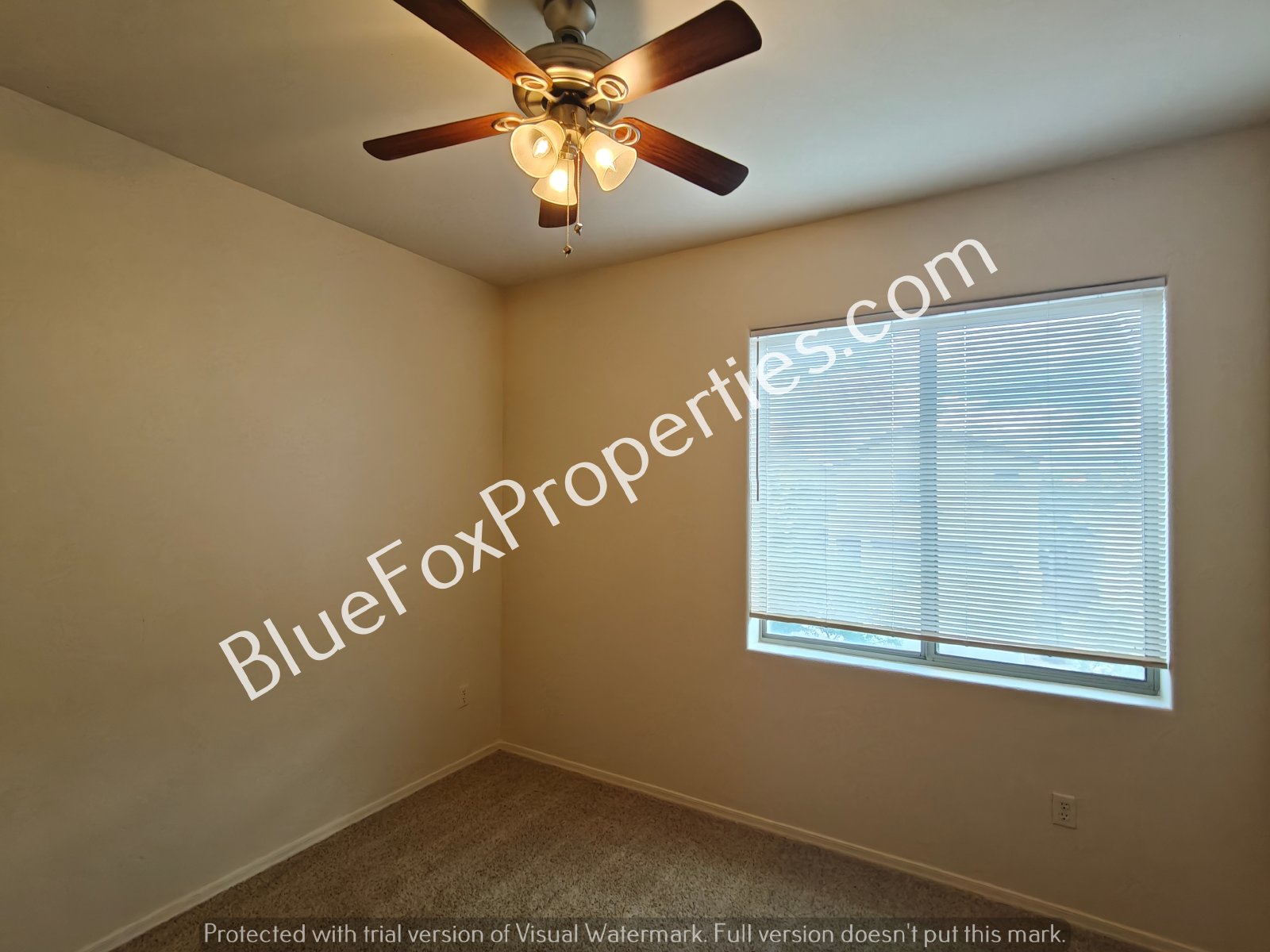 2229 W Morning Dream Lane property image