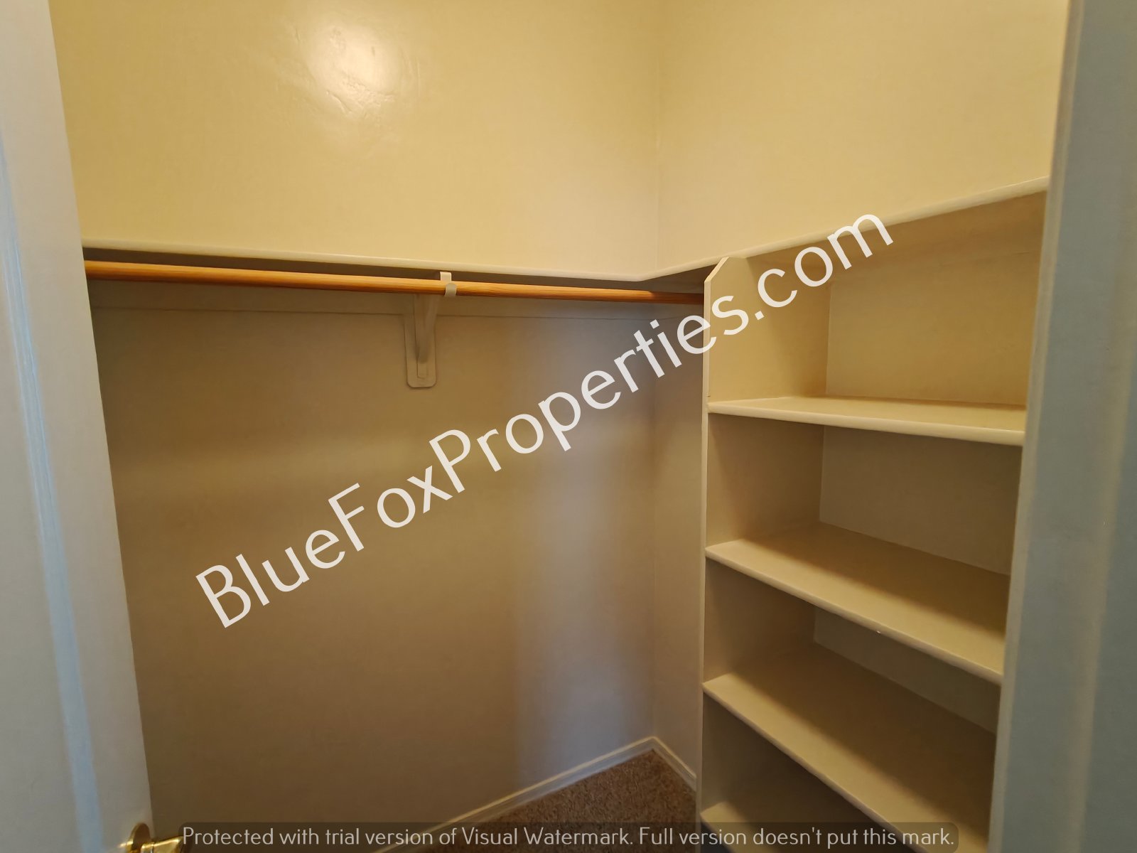 2229 W Morning Dream Lane property image