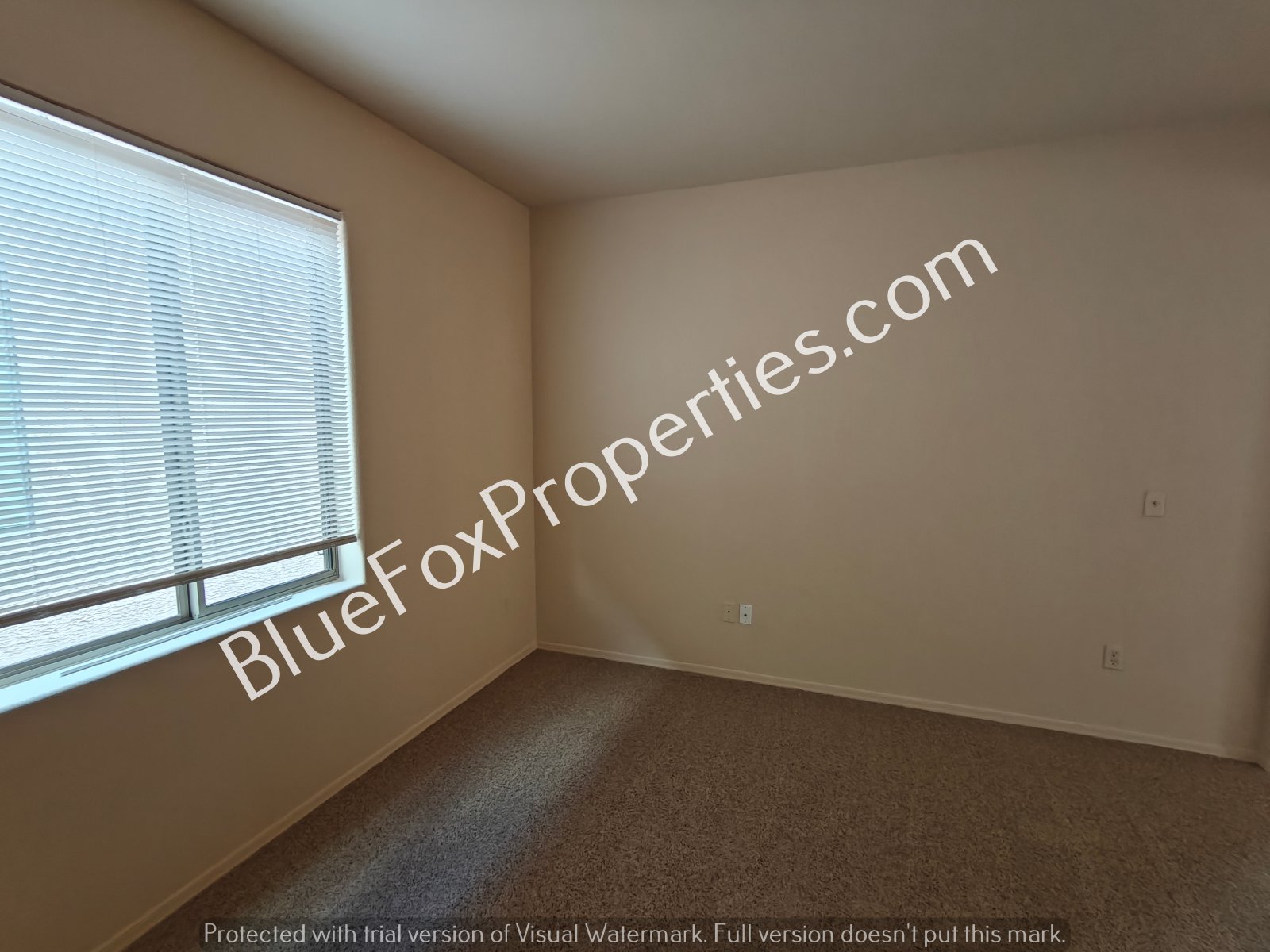 2229 W Morning Dream Lane property image