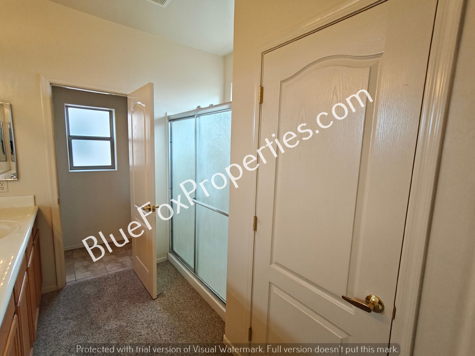 2229 W Morning Dream Lane property image