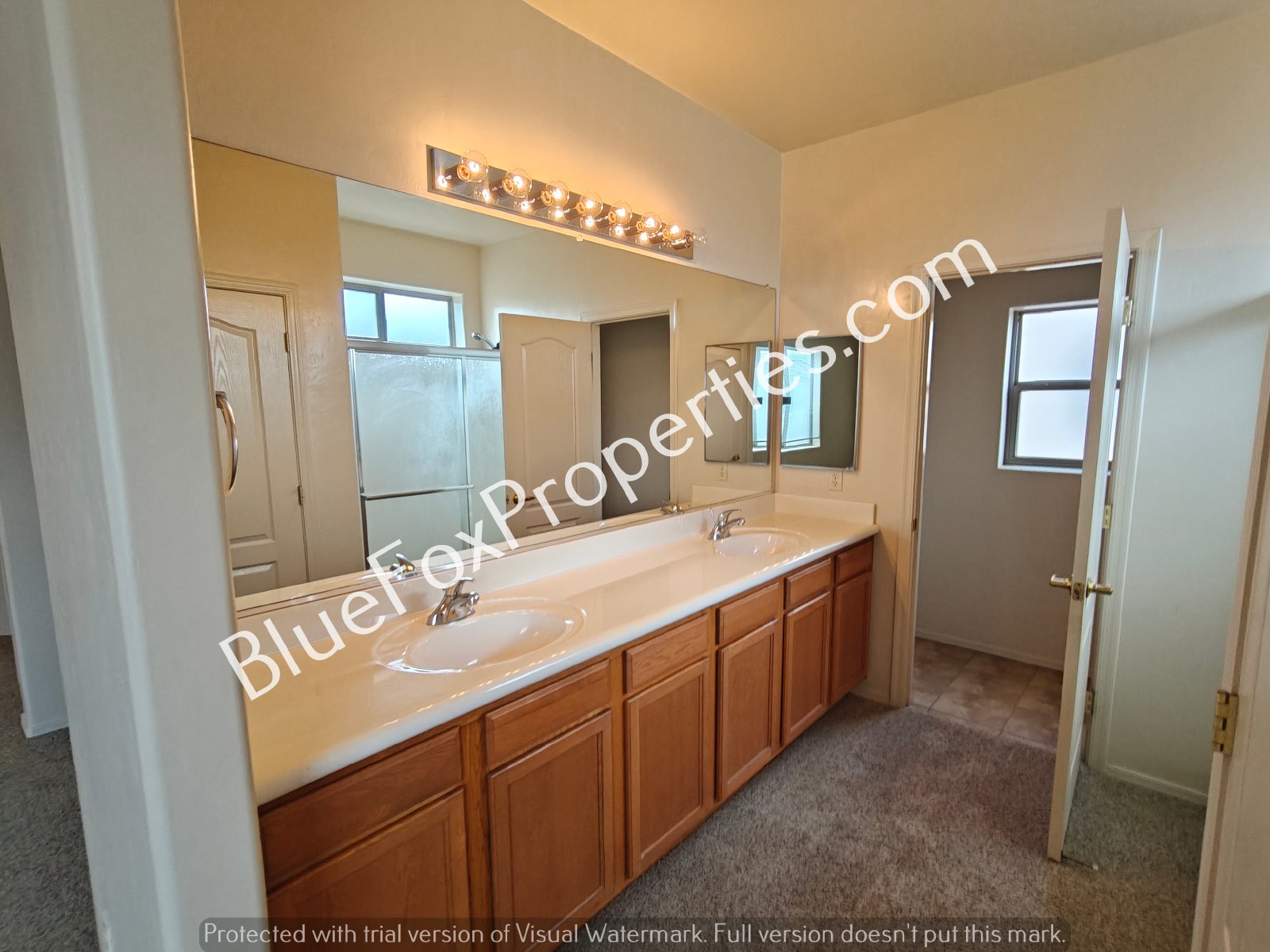 2229 W Morning Dream Lane property image