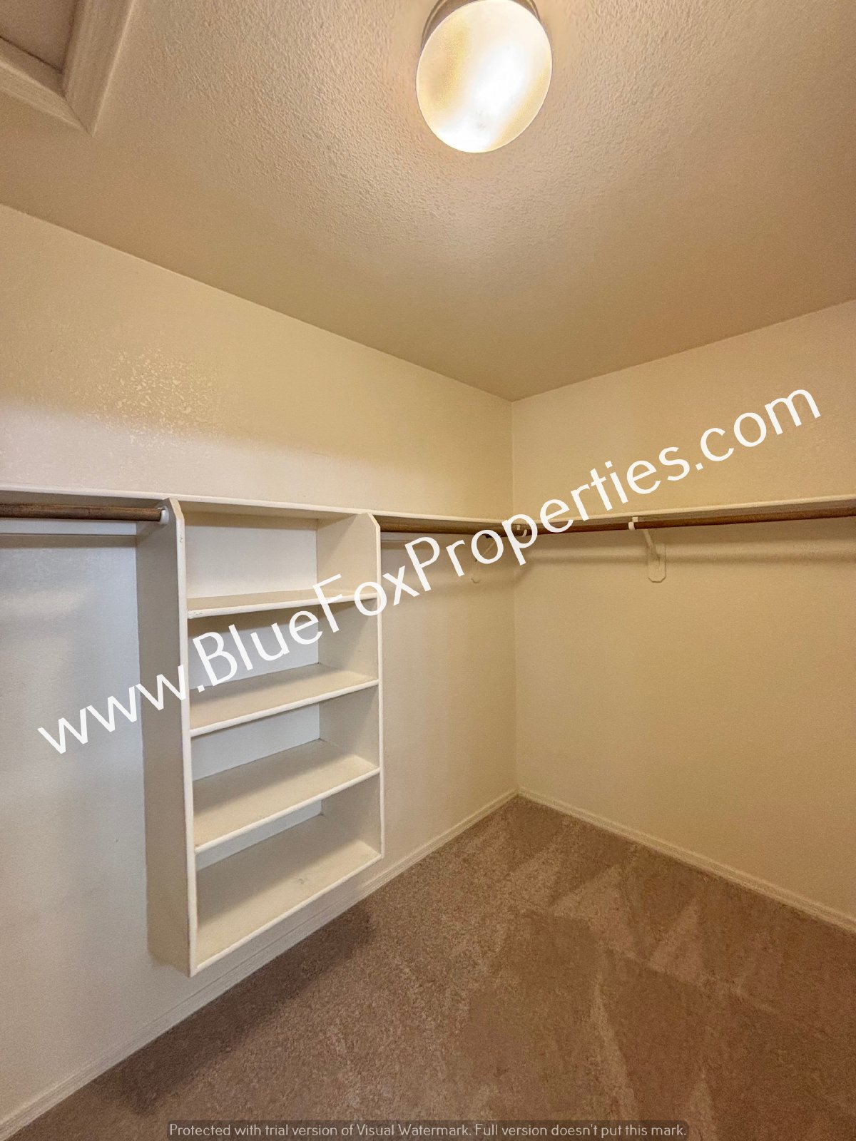 9495 N Winter Wren Ave property image