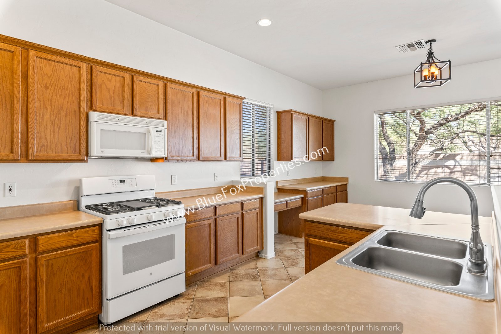 13835 E Camino Costa Teguise property image