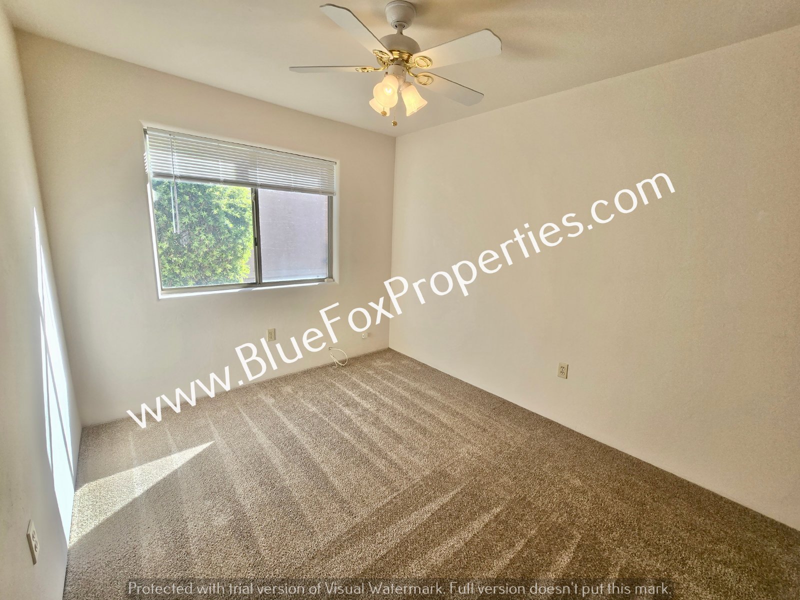 2204 W Silver River Way property image