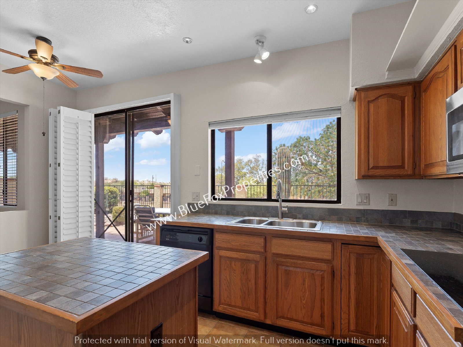 811 East Camino Corrida property image