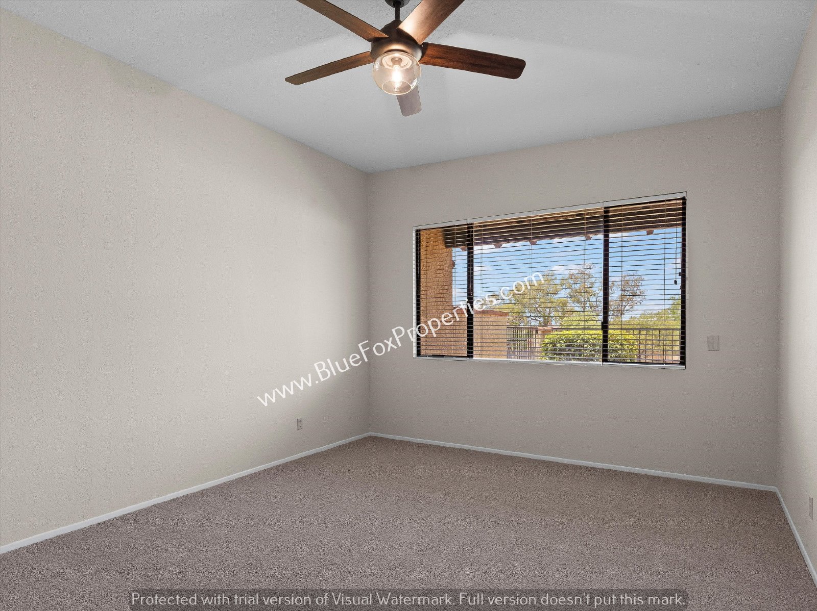 811 East Camino Corrida property image