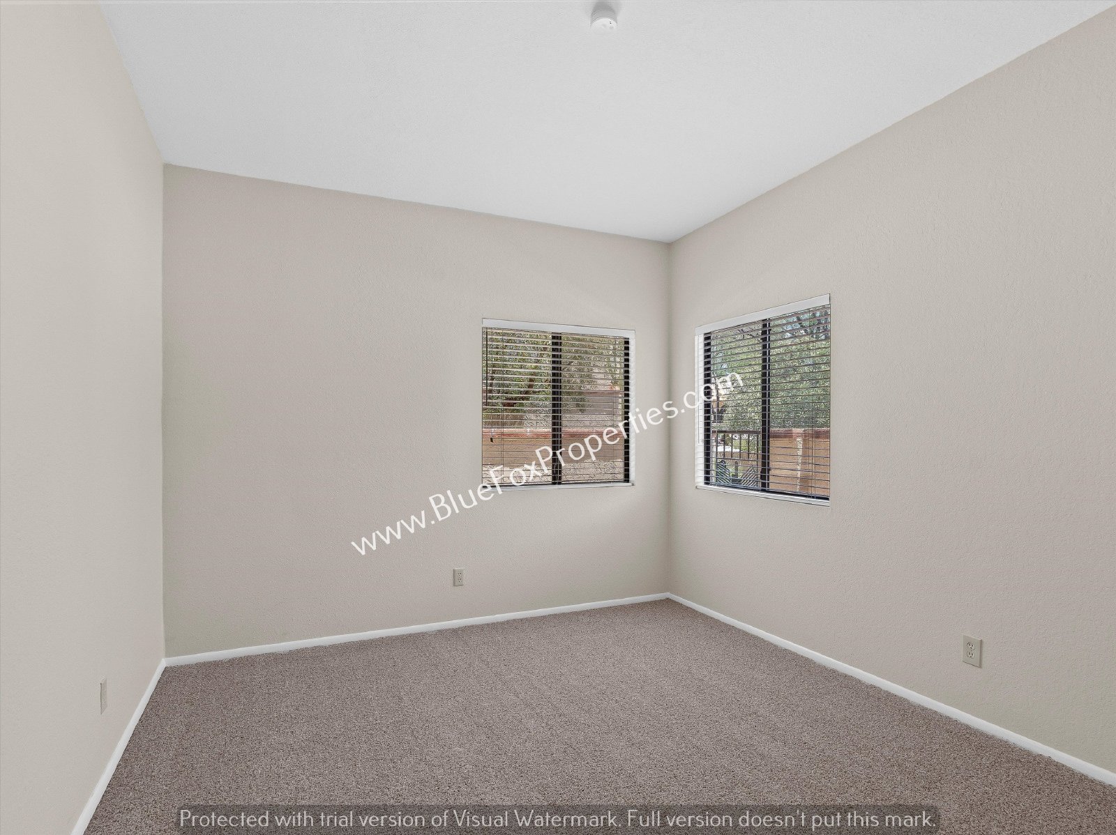 811 East Camino Corrida property image