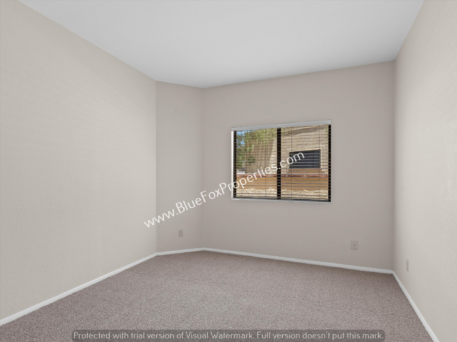 811 East Camino Corrida property image