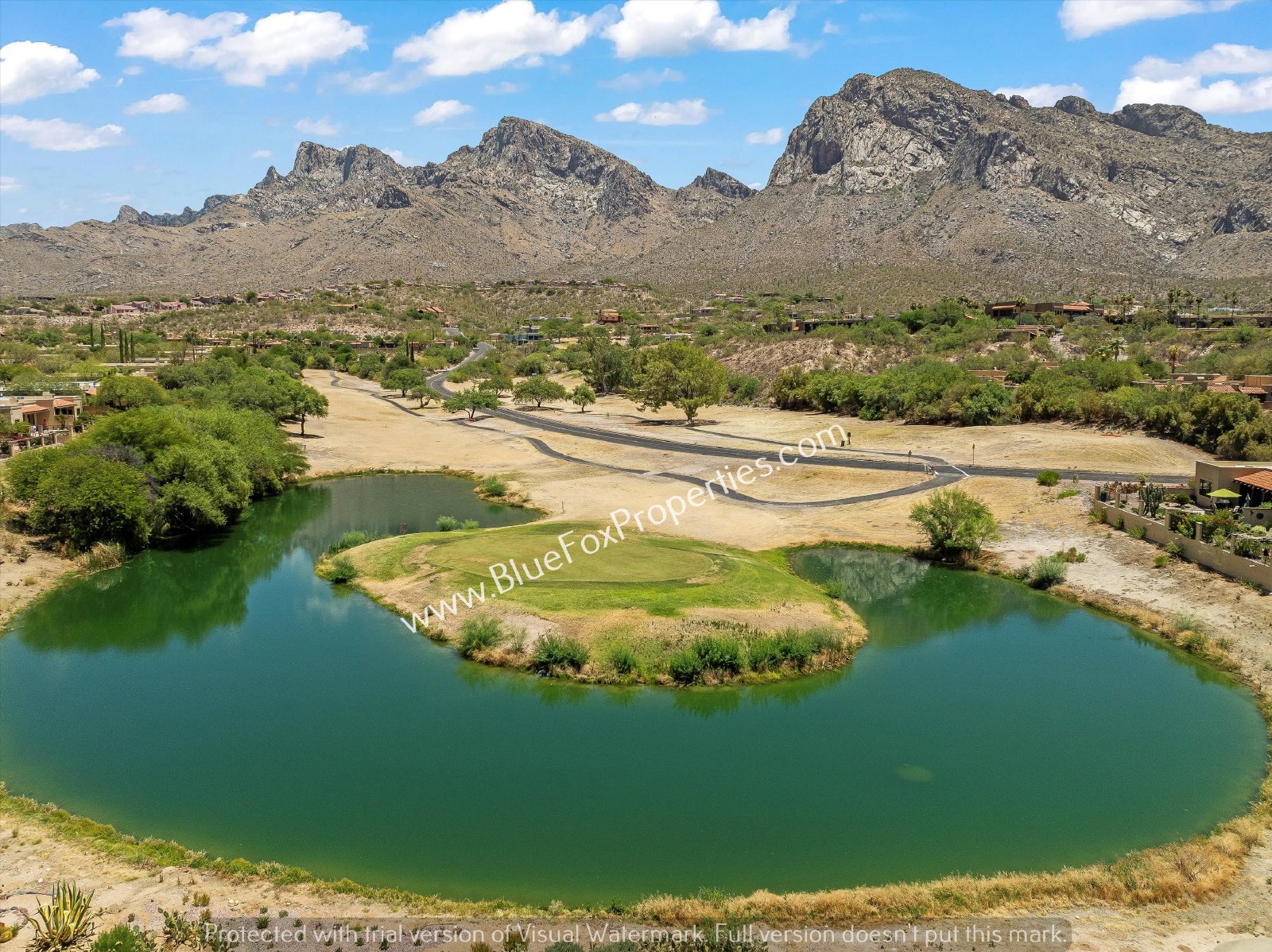 811 East Camino Corrida property image