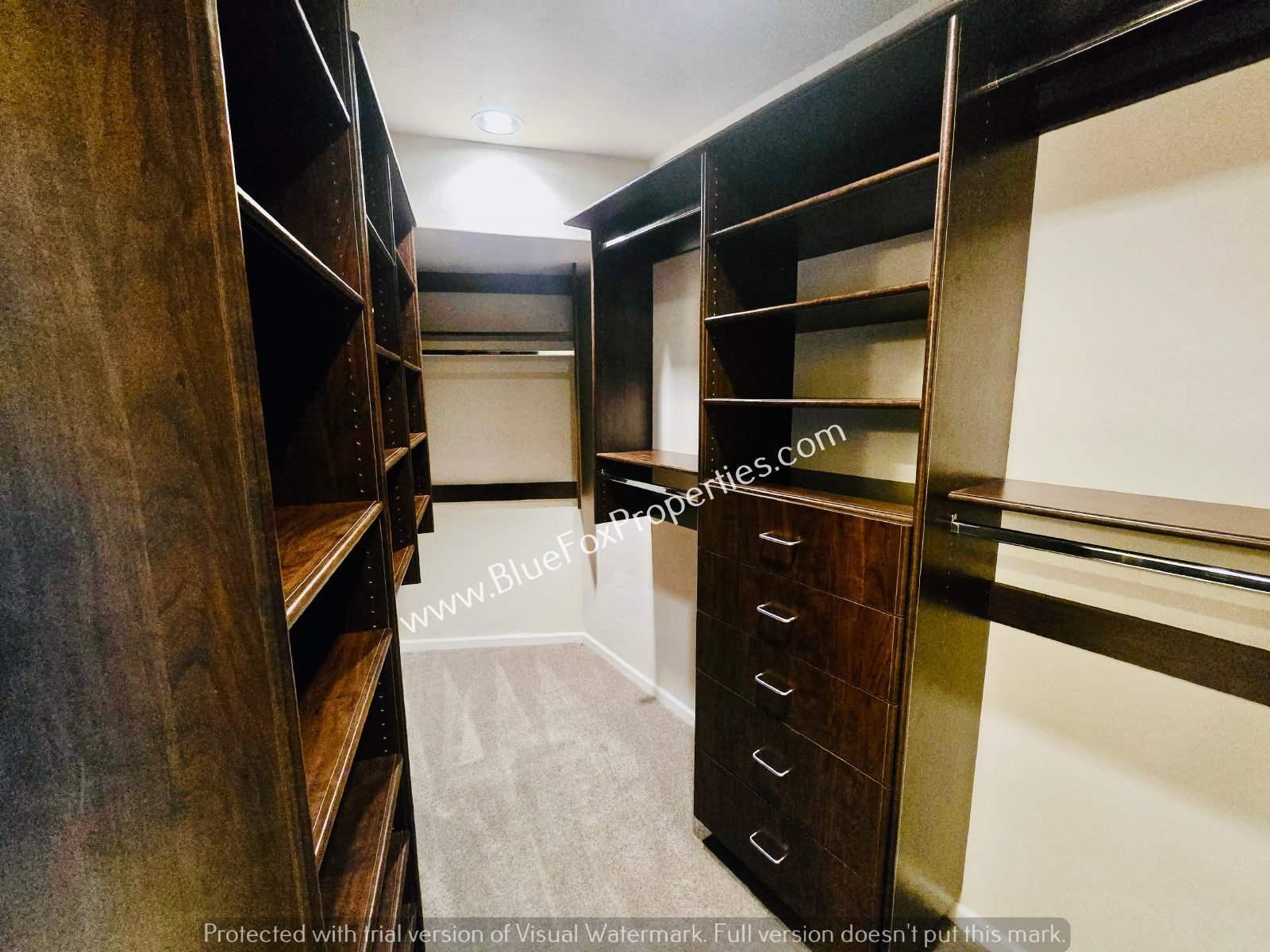 8135 N Casas Way property image