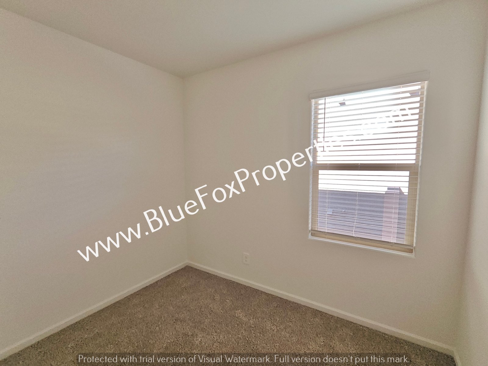 6805 E Paseo Don Octavio property image