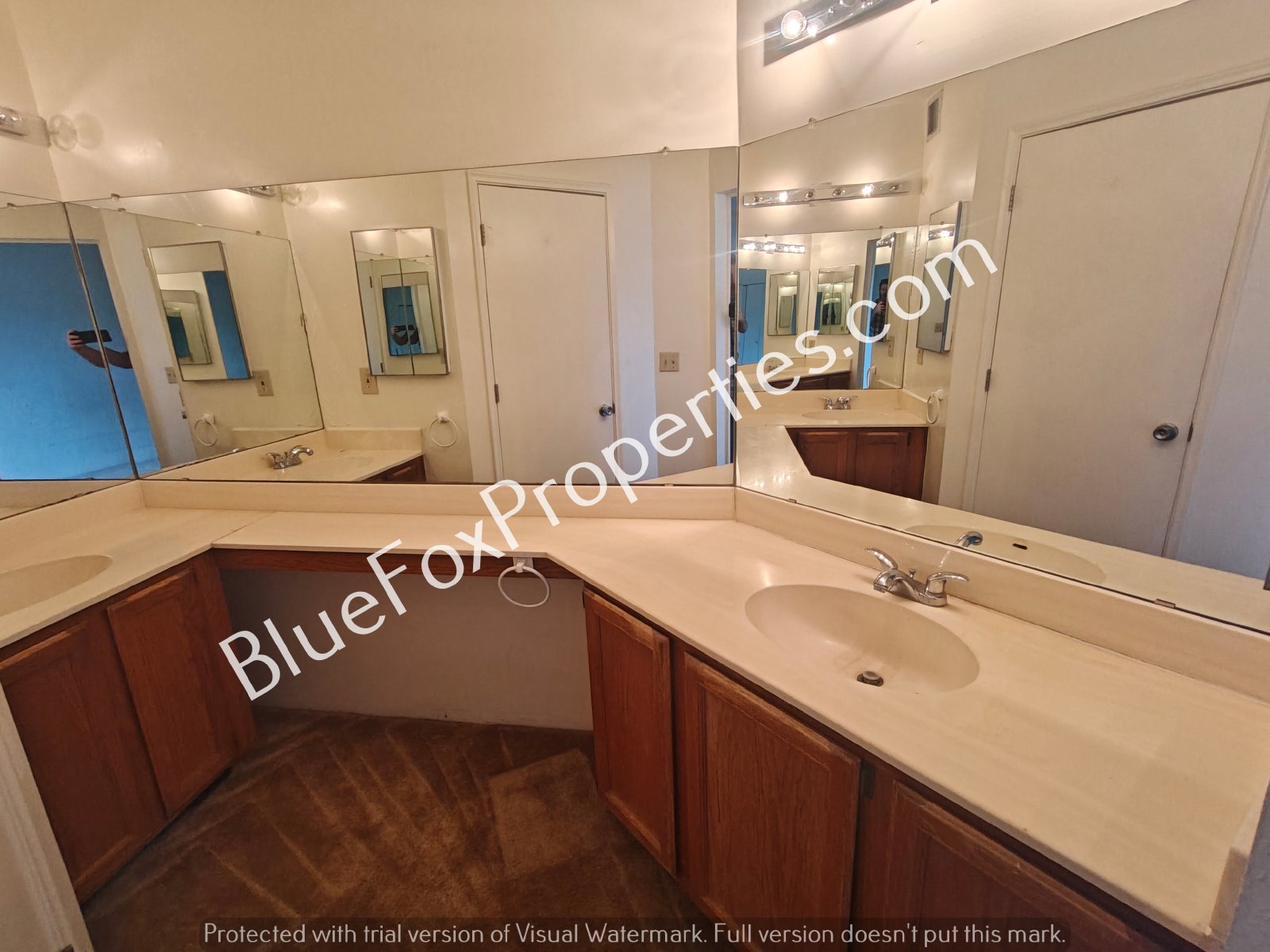 254 E Pastime Road property image