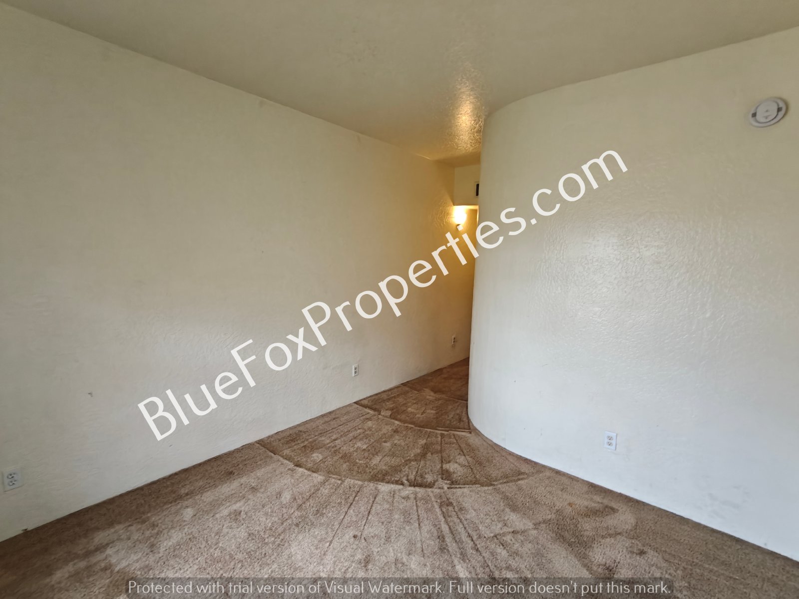 254 E Pastime Road property image