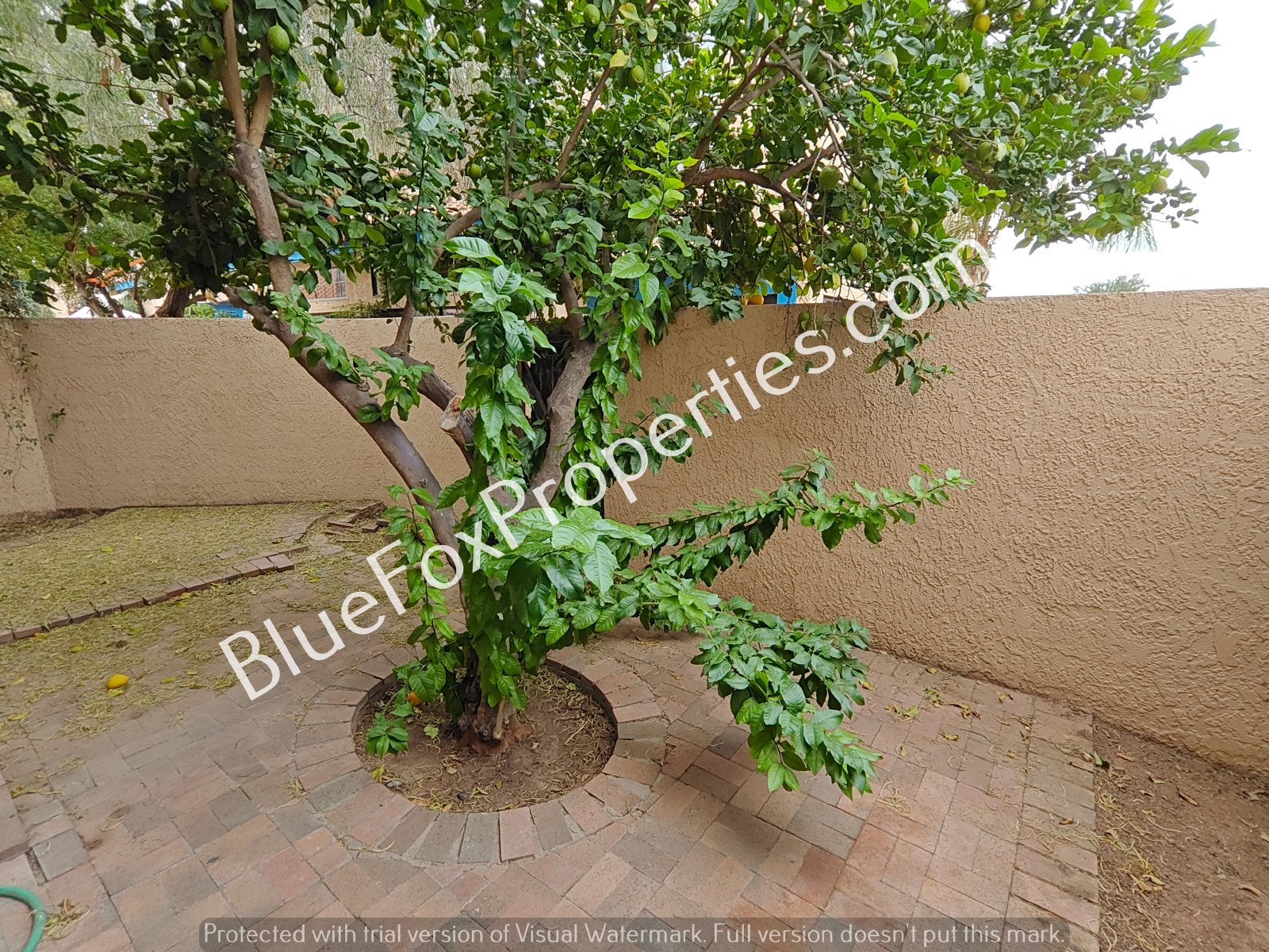 254 E Pastime Road property image