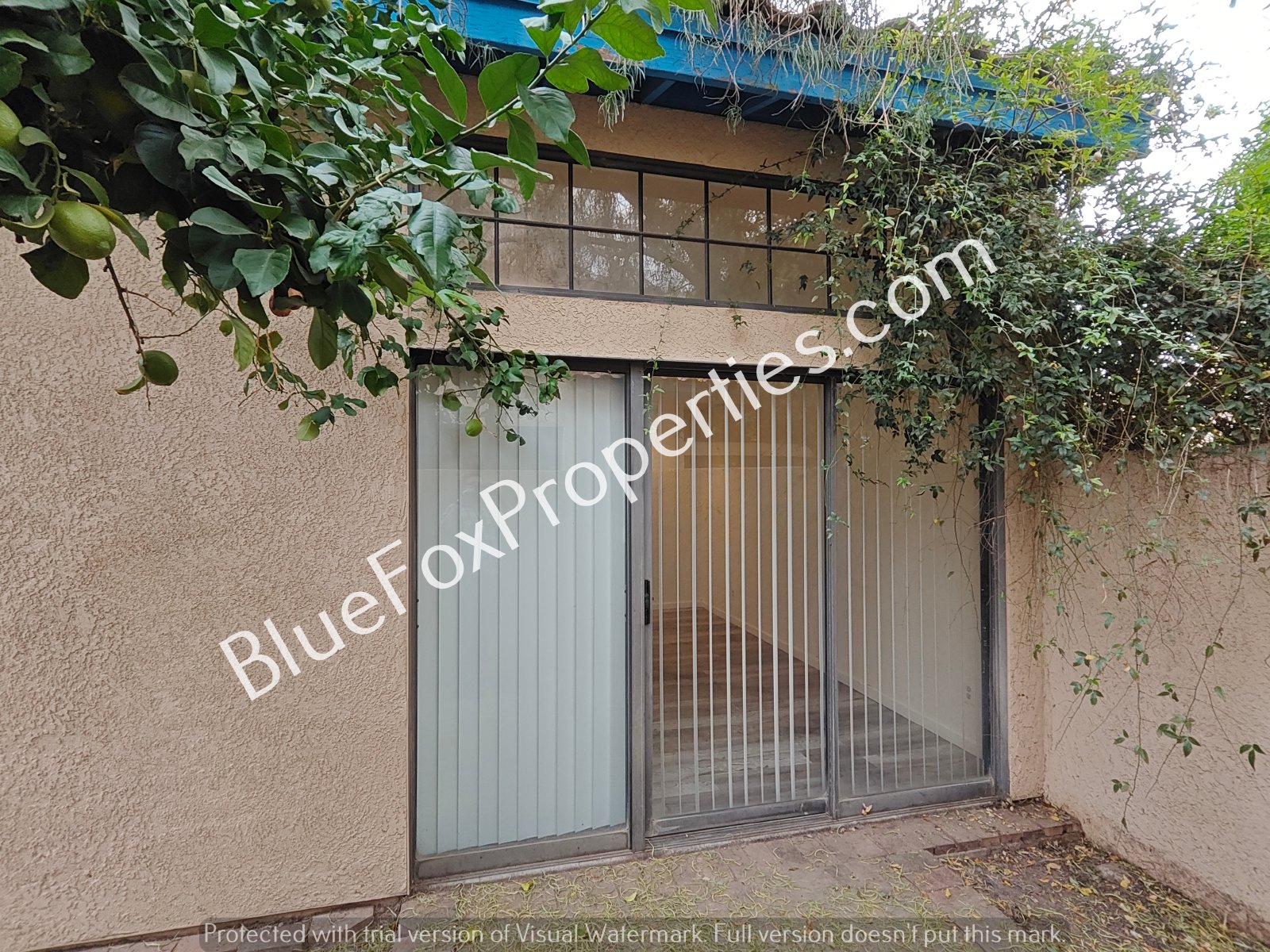 254 E Pastime Road property image